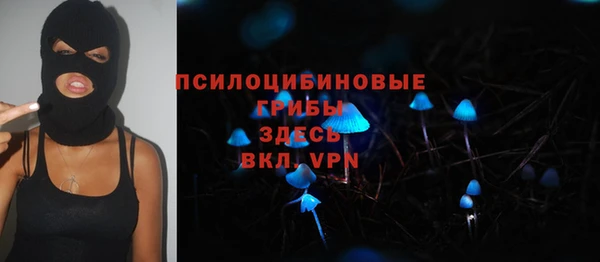 а пвп мука Аркадак