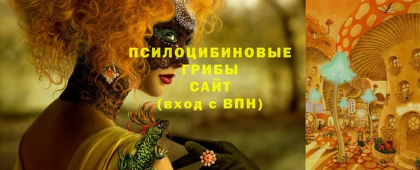 а пвп мука Аркадак