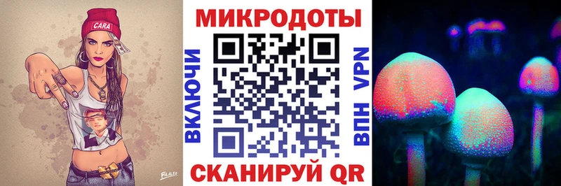 Псилоцибиновые грибы мицелий маркетплейс состав Урень гидра маркетплейс